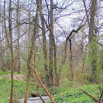 Photo n°11 de l'avis de Cenko. fait le 27/04/2024 à 12:56 sur le  Hotel Pfefferhöhe Alsfeld à Alsfeld