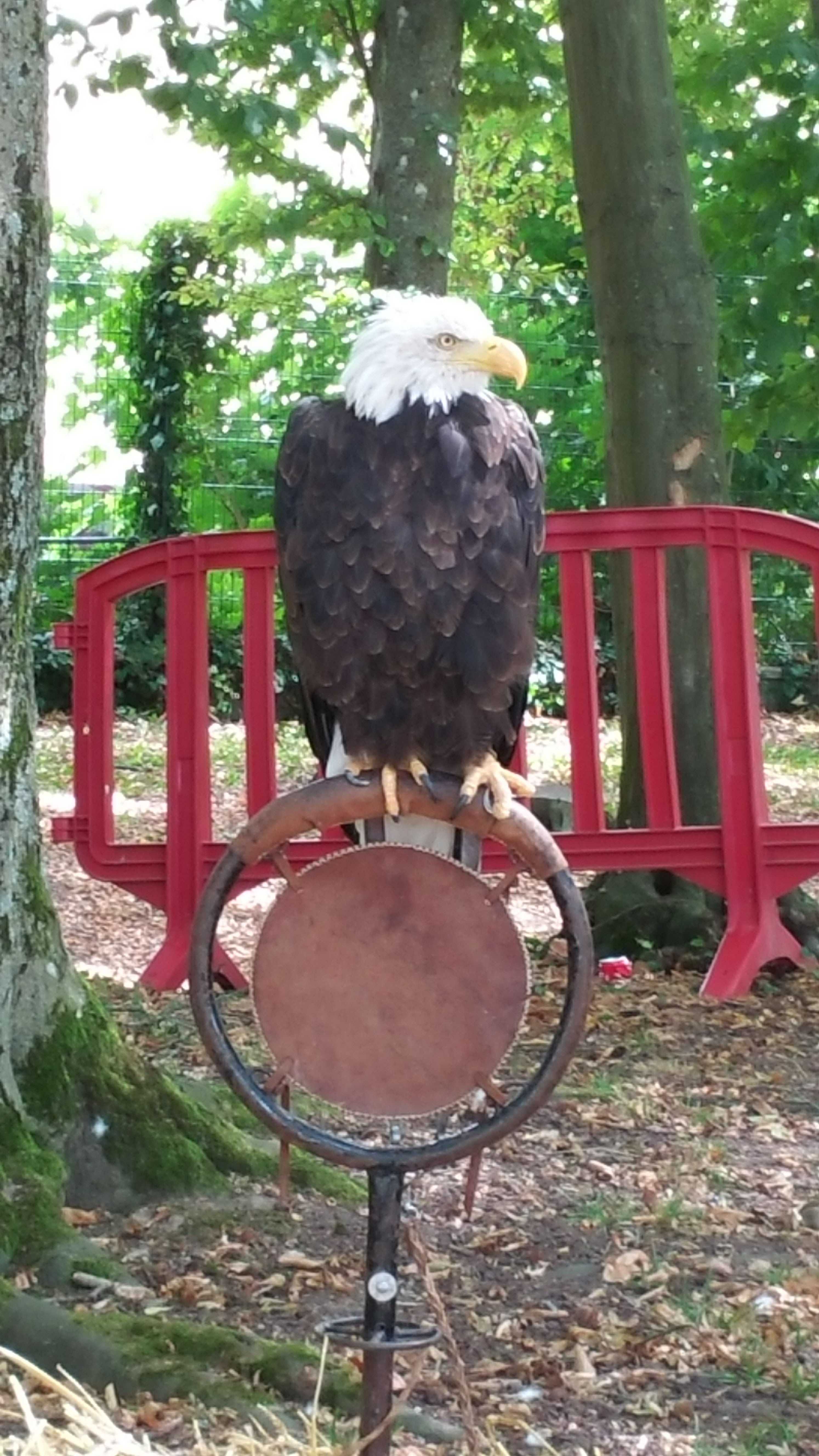 Photo n° 7 de l'avis de Titia.a fait le 25/08/2018 à 21:24