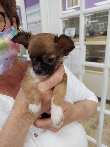 Pet Supply Store «The Pet Center», reviews and photos, 3725 Renee Dr, Myrtle Beach, SC 29579, USA