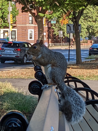 Park «Bensonhurst Park», reviews and photos, Cropsey Ave, Brooklyn, NY 11214, USA