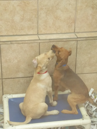 Pet Supply Store «Pets Plus - Bensalem», reviews and photos, 1336 Bristol Pike, Bensalem, PA 19020, USA