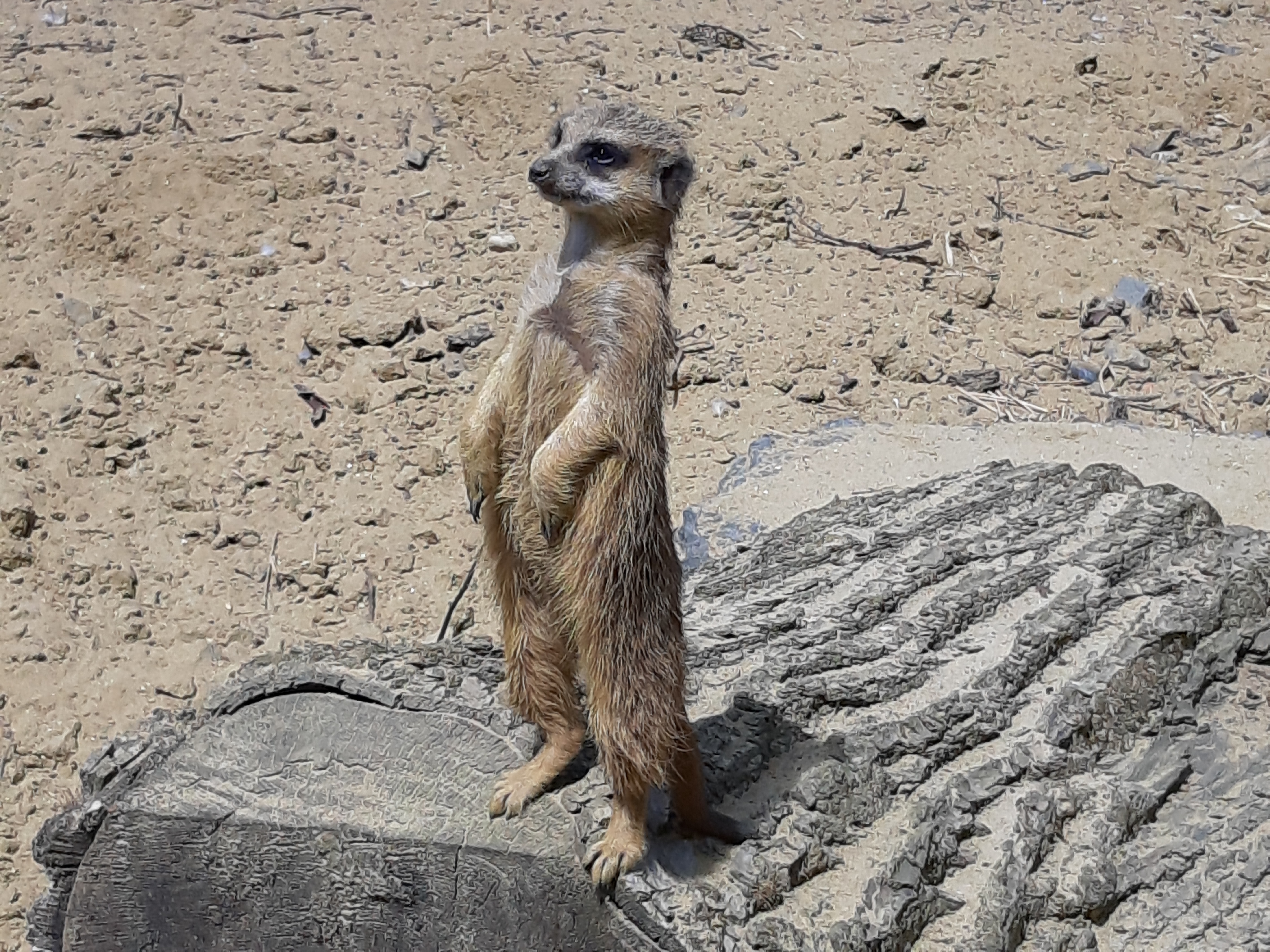 Photo n° 1 de l'avis de Mathieu.e fait le 08/07/2019 à 12:10