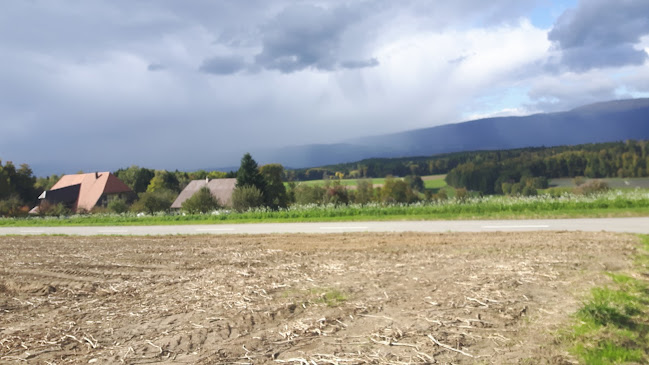 Rezensionen über Kinnas in Grenchen - Catering