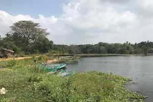 Habarana lake image