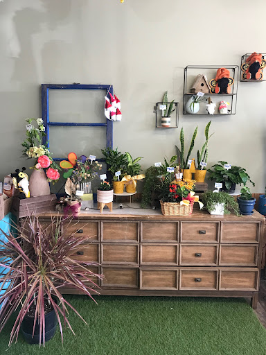 Toni's Flowers