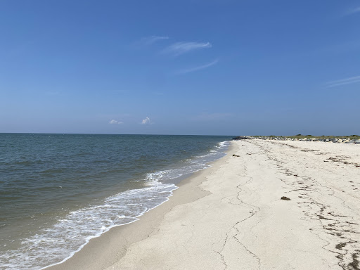 Cruise Agency «Tangier Island Cruises», reviews and photos, 468 Buzzards Point Rd, Reedville, VA 22539, USA