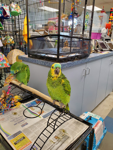 Supermarket «Giant Eagle Supermarket», reviews and photos, 2173 Stringtown Rd, Grove City, OH 43123, USA