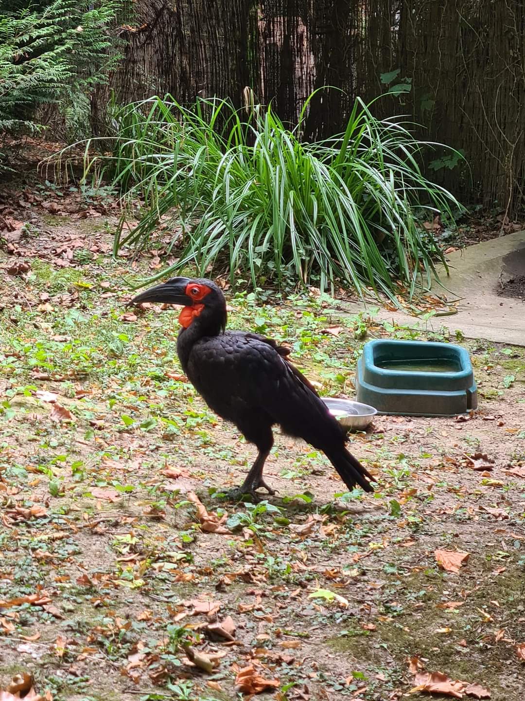 Photo n° 23 de l'avis de Maïté.e fait le 03/08/2022 à 19:24