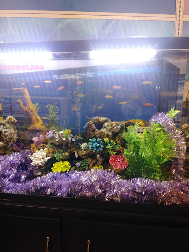 Pet Supply Store «PetSmart», reviews and photos, 3260 Stockton Hill Rd, Kingman, AZ 86409, USA