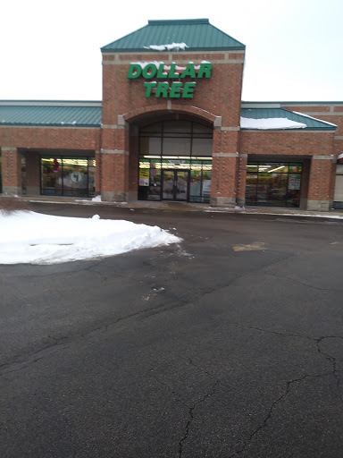 Dollar Store «Dollar Tree», reviews and photos, 2682 E Main St, St Charles, IL 60174, USA