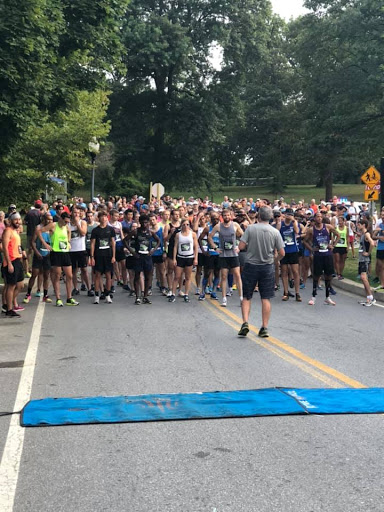 Sporting Goods Store «Falls Road Running Store», reviews and photos, 6247 Falls Rd, Baltimore, MD 21209, USA