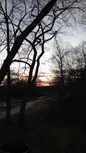 Olive Street Park - photo 10