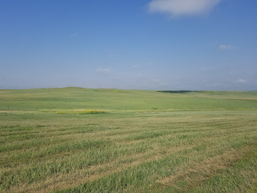 Casino «Prairie Wind Casino & Hotel», reviews and photos, 26 Casino drive, Oglala, SD 57764, USA