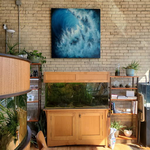 Tropical Fish Store «Watercolors Aquarium Gallery», reviews and photos, 11 Jefferson Ave SE, Grand Rapids, MI 49503, USA