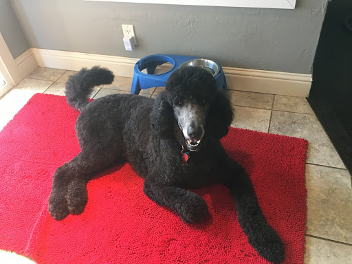 Pet Supply Store «Myrtle Avenue Pet Center», reviews and photos, 2725 Hubbard Ln, Eureka, CA 95501, USA