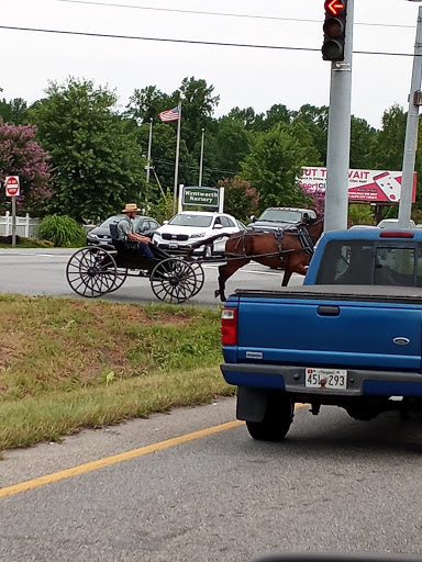 Auto Parts Store «AutoZone», reviews and photos, 30263 Triangle Dr, Charlotte Hall, MD 20622, USA