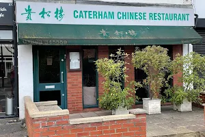 Caterham Chinese Restaurant image