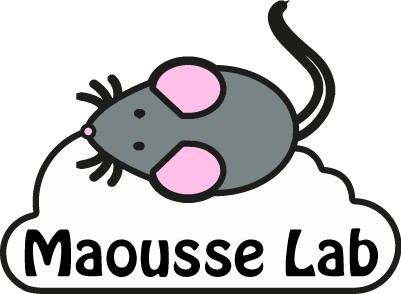 Maousse Lab - Laboratorium