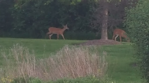 Park «Heritage Oaks Park», reviews and photos, 310 N Fairfield Rd, Hawthorn Woods, IL 60047, USA