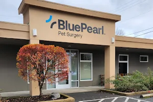 BluePearl Pet Surgery image