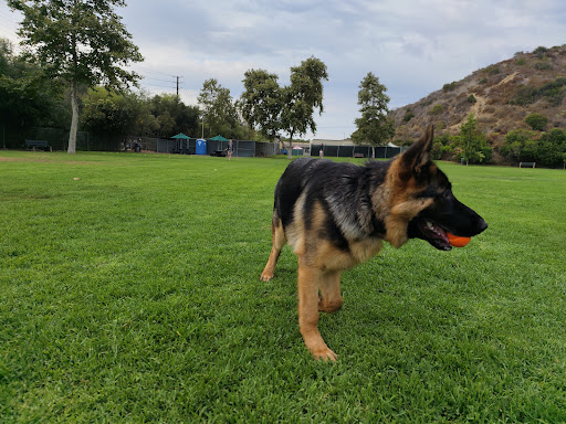 Dog Park «Laguna Beach Dog Park», reviews and photos, 20672 Laguna Canyon Rd, Laguna Beach, CA 92651, USA