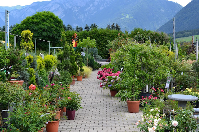 Kommentare und Rezensionen über Rodigari Gartencenter in Domat Ems