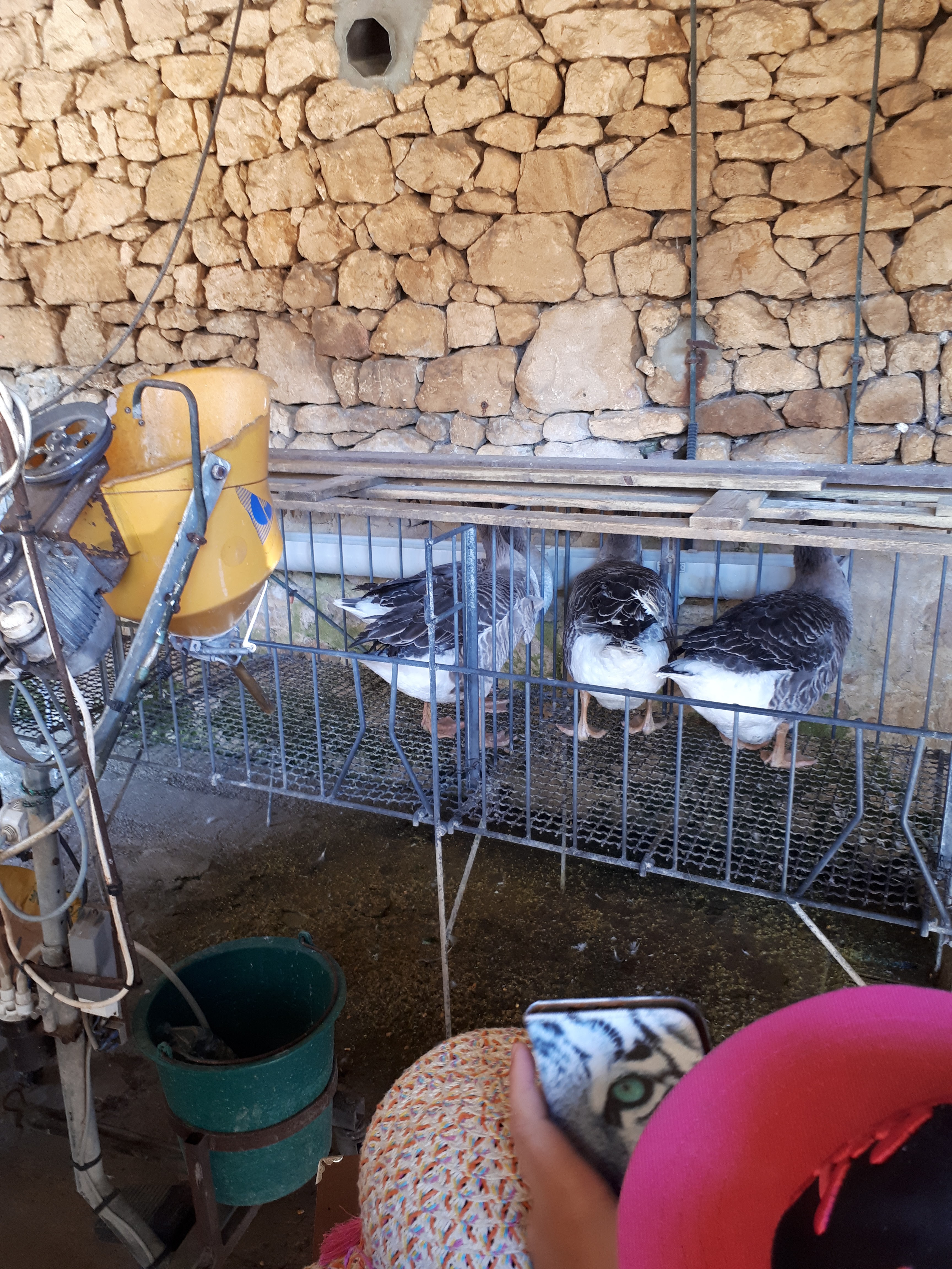 Photo n° 3 de l'avis de Quentin.e fait le 22/08/2018 à 11:36