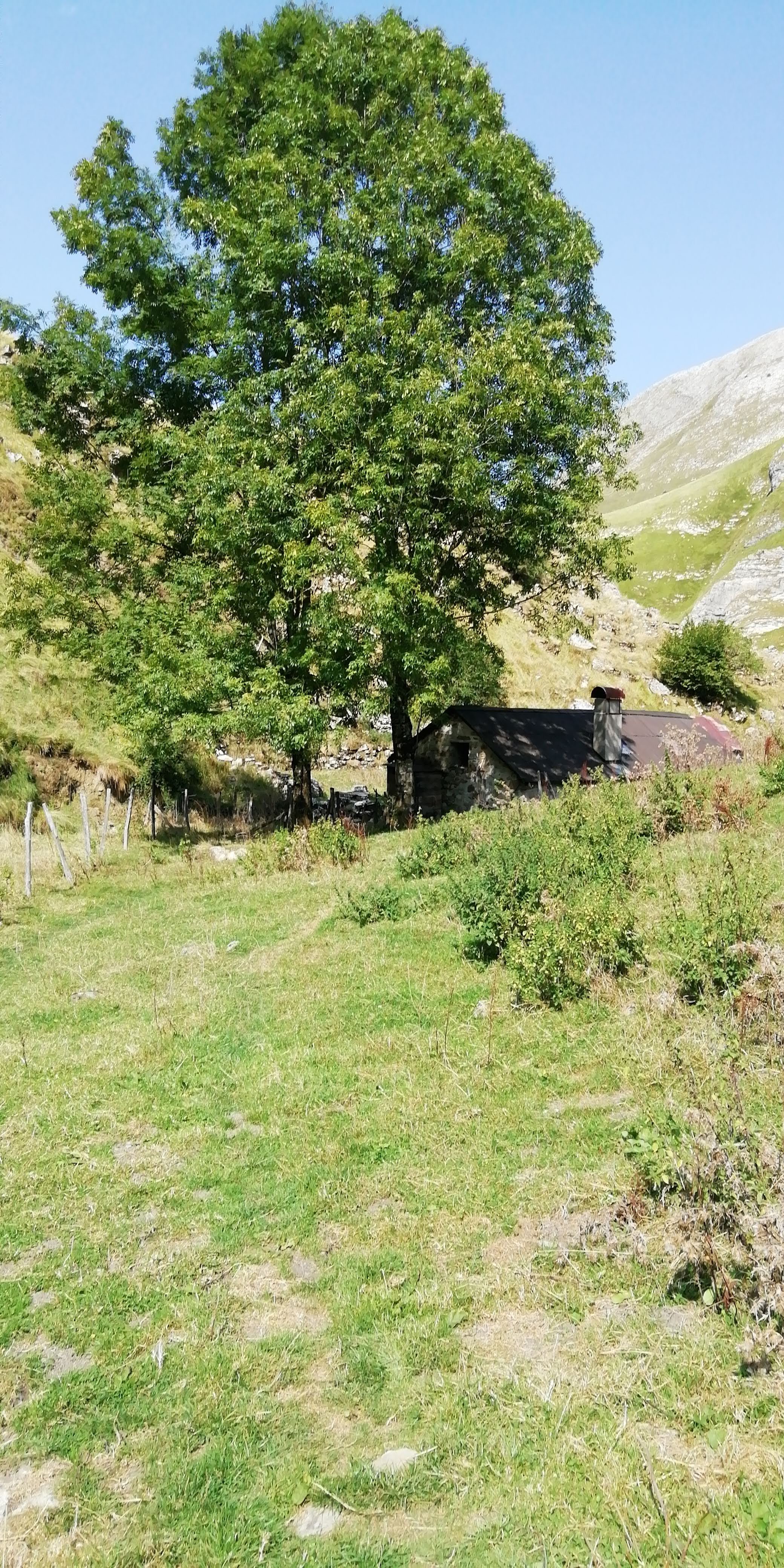 Photo n° 3 de l'avis de angela.e fait le 19/09/2020 à 18:34