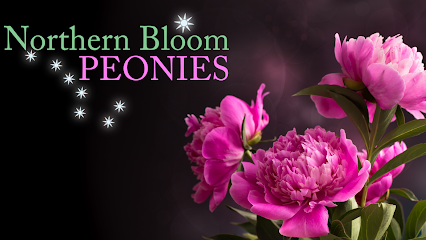 Northern Bloom Peonies