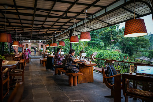 Ngopi Di Kebon Bandung (Resto)