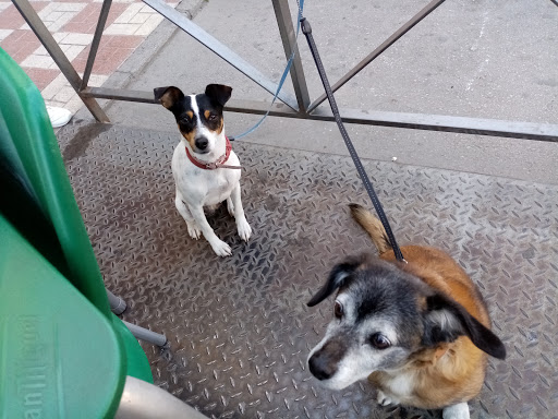 Centro Veterinario El Puente en Estacion de Cartama