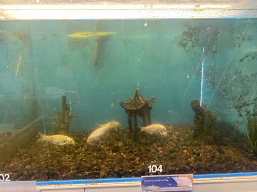 Pet Supply Store «PetSmart», reviews and photos, 1621 E Monte Vista Ave b, Vacaville, CA 95688, USA