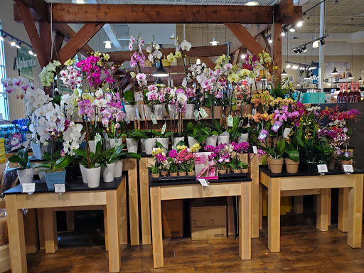 Shopping Mall «Haynes Market Shopping Center», reviews and photos, 3000 Old Alabama Rd, Johns Creek, GA 30022, USA