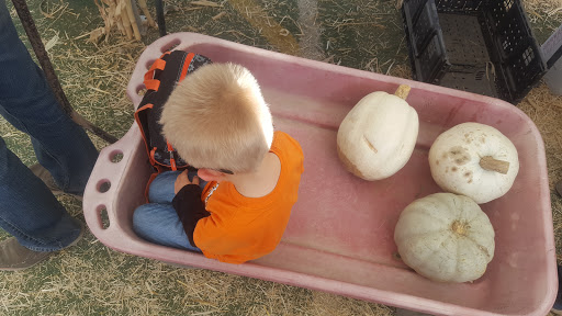 Produce Market «Kuwahara Farms», reviews and photos, 736 12300 S, Draper, UT 84020, USA