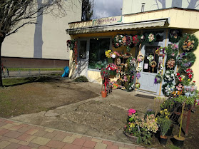 Remzső Anikó "Borostyán" Virág-Ajándék Shop