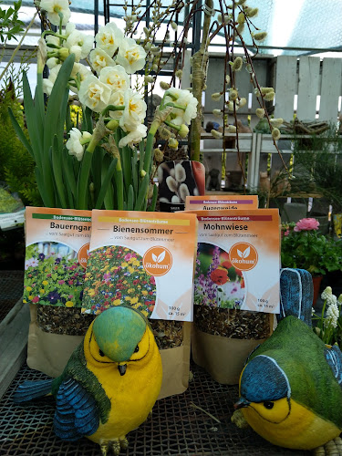 Pflanzenwerkstatt Kappelhof - Blumengeschäft