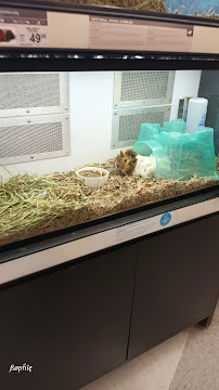 Petco - Photo 7 - Car repair in Carmel, IN, Indianapolis