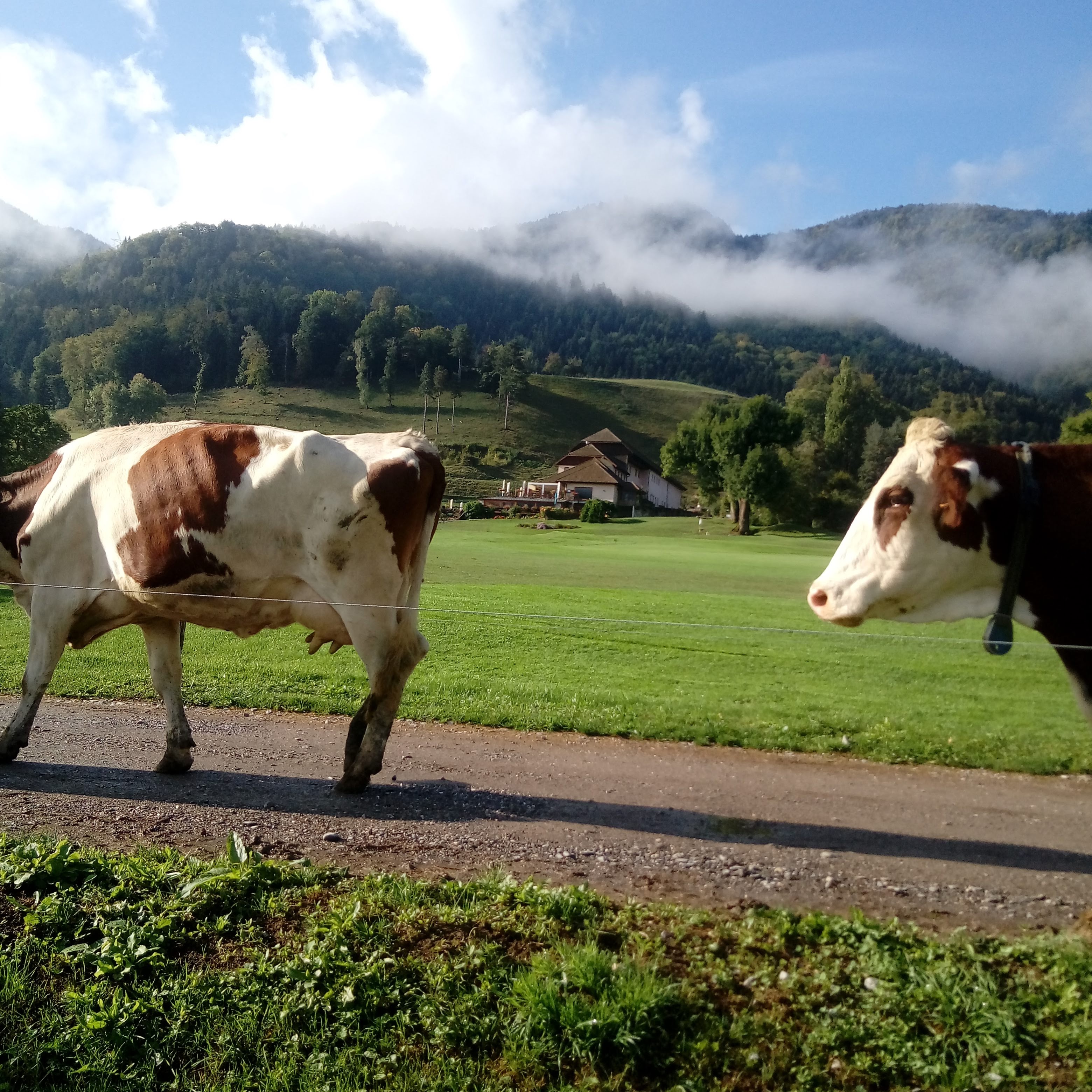 Photo n° 3 de l'avis de francis.a fait le 23/09/2020 à 17:09