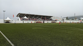 Estádio Municipal Sever do Vouga
