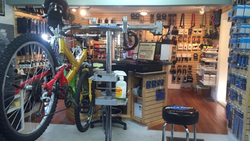Bicycle Store «The Bike Den», reviews and photos, 2569 Cranberry Hwy, Wareham, MA 02571, USA