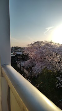 ビレッジハウス 横根
