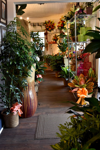 Florist «The Daisy Fair Flowers», reviews and photos, 1400 4th Ave, Conway, SC 29526, USA