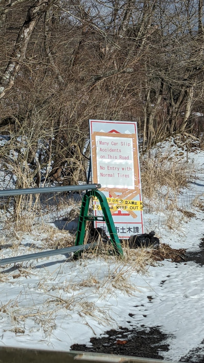 猪の瀬戸 山桜