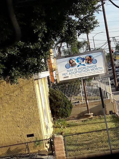 Ice Cream Shop «Boston Cream Doughnut», reviews and photos, 1009 W Anaheim St, Wilmington, CA 90744, USA