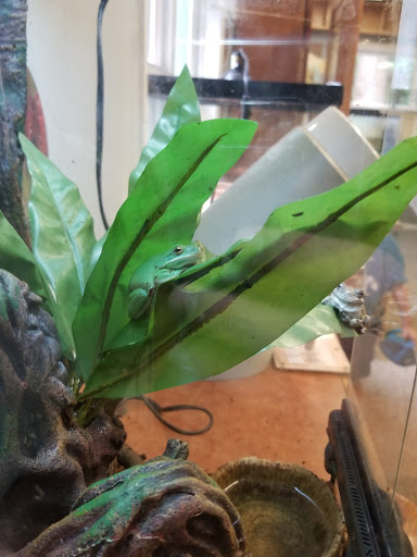 Park «Potomac Overlook Regional Park», reviews and photos, 2845 Marcey Rd, Arlington, VA 22207, USA