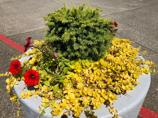 Shopping Mall «North Bend Premium Outlets», reviews and photos, 461 S Fork Ave SW, North Bend, WA 98045, USA