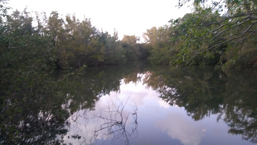 Public Golf Course «Greynolds Golf Course», reviews and photos, 17530 West Dixie Highway, North Miami Beach, FL 33160, USA