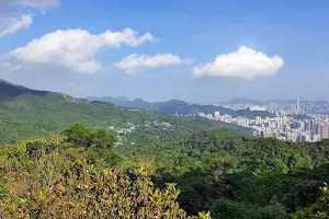 Tsuen Wan Urban Lookout image