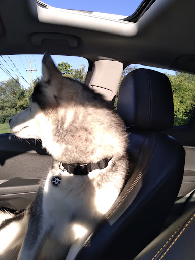 36912 Van Born Rd, Wayne, MI 48184, USA