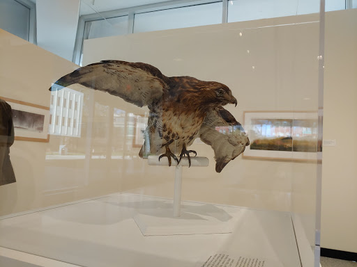 Museum «New Jersey State Museum», reviews and photos, 205 W State St, Trenton, NJ 08608, USA